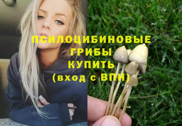 стаф Абдулино